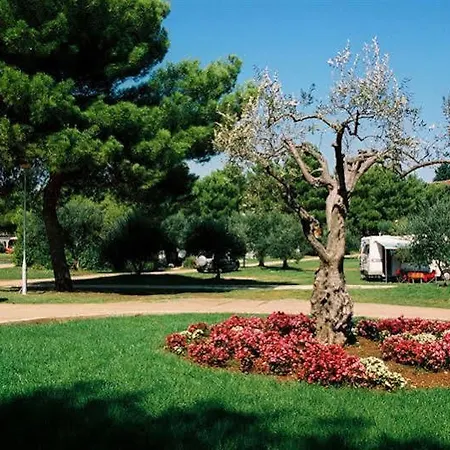 Maistra Select Koversada Naturist 4*